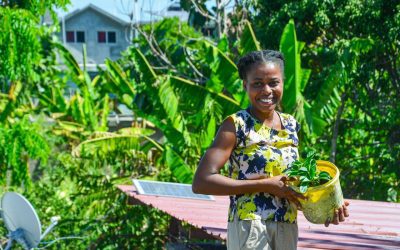 Resilience in Haiti: One Year Retrospective