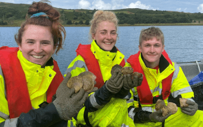 Seawilding: Restoring Habitats and Nurturing the Next Generation of Marine Biologists