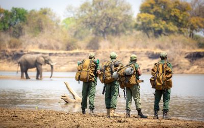 Tusk: Friends Fund Partnership Profile of Impact